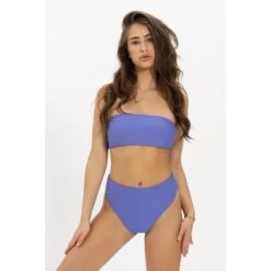 Bikini High Waist Bottom Powerful - Paars - Bikini Broek Dames - Hoge Taille